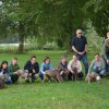 hundetreffen 03.09.2016 524